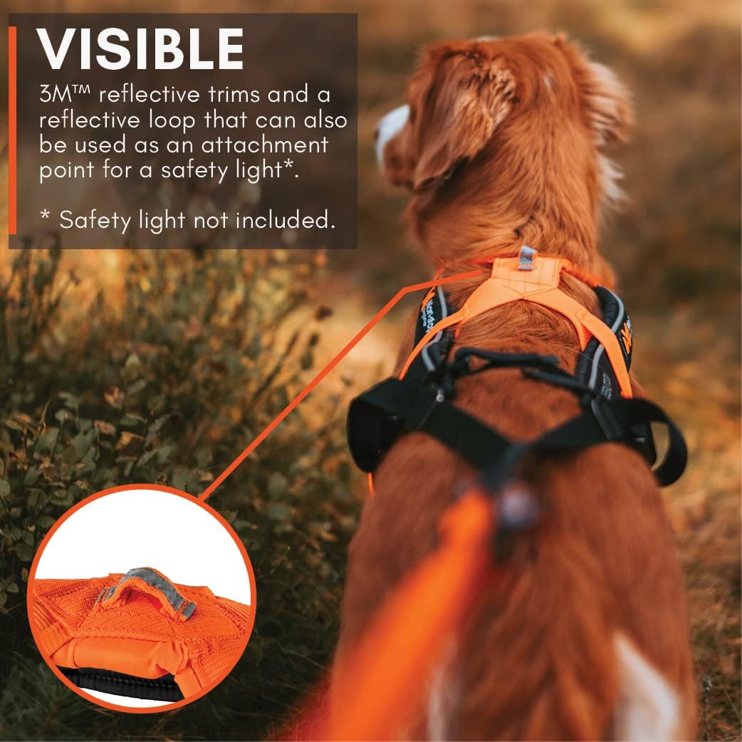 Non-stop dogwear Freemotion Harness 5.0 Dog Pulling Harness