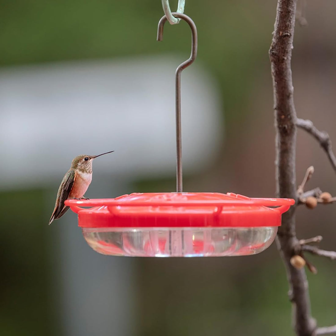 2 Pack Hummingbird Feeders for Outdoors, 5 Feeder Ports with Brush