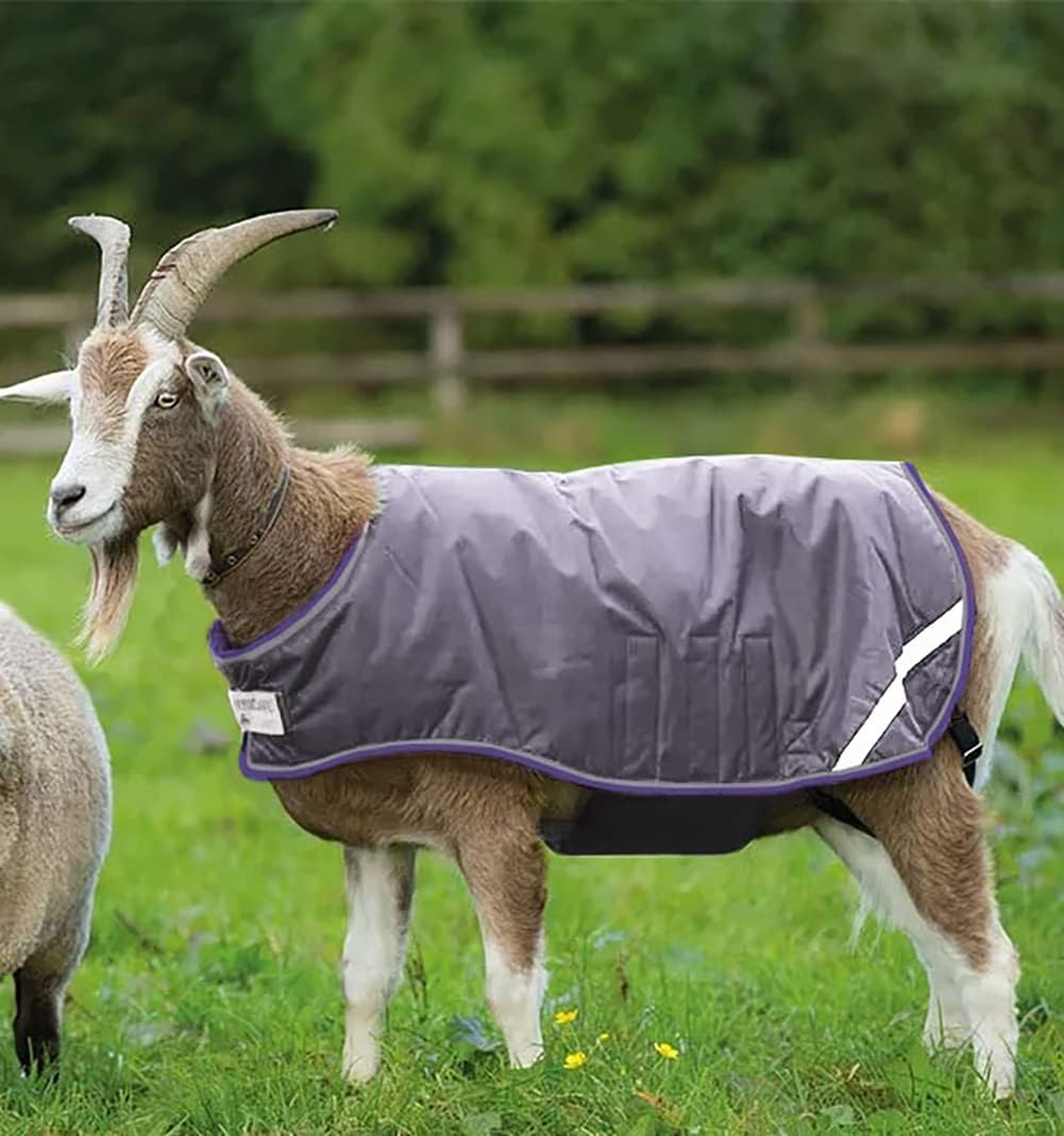 Horseware® Goat Rug - Excalibur/Silver & Strong Blue & Black, S
