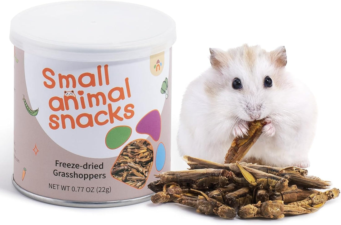 Niteangel Small Animal Snack & Treats - Dried Worms & No Additive