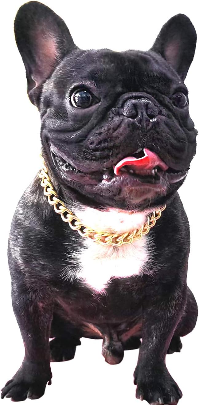 Gold Chain Dog Collar-15mm Cute Dog Collar Pet Gold Necklace Bulldog