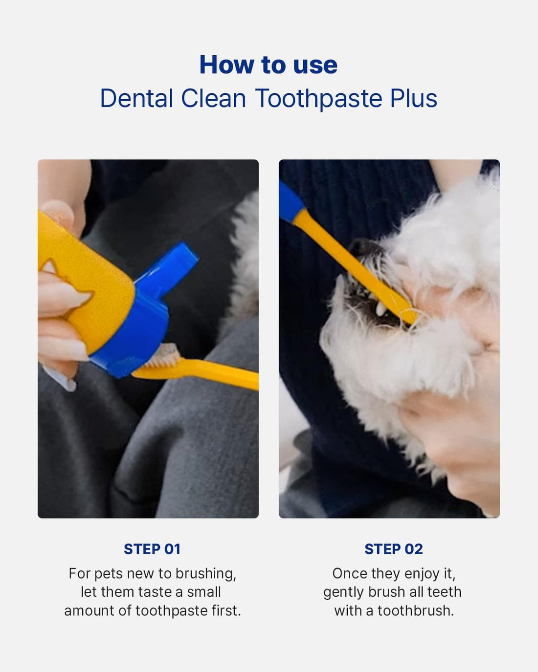 PETHROOM Dental Clean Toothpaste Plus for Dogs & Cats