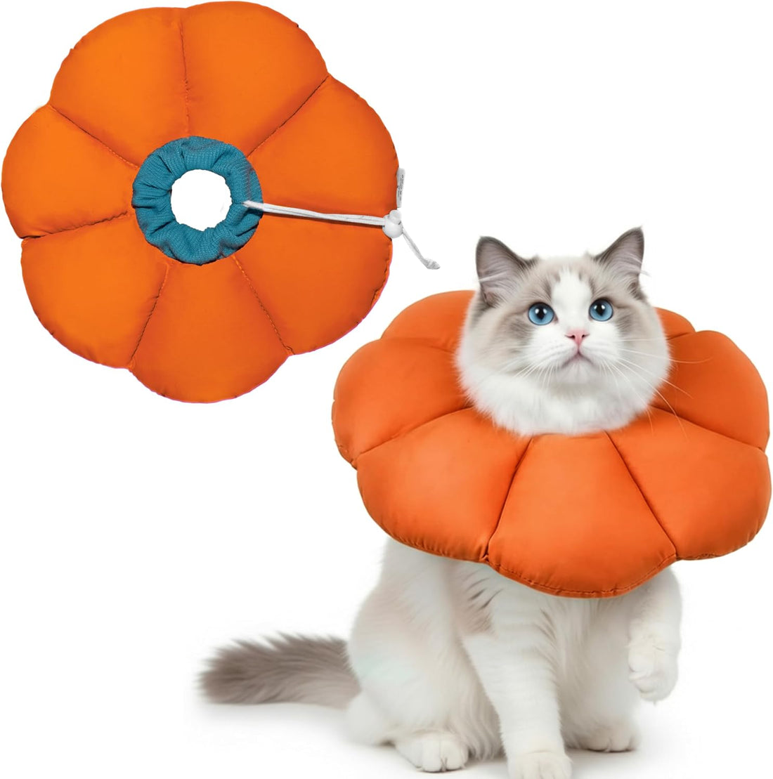 Soft Cat Cone Collar After Surgery,Cat Recovery Collar