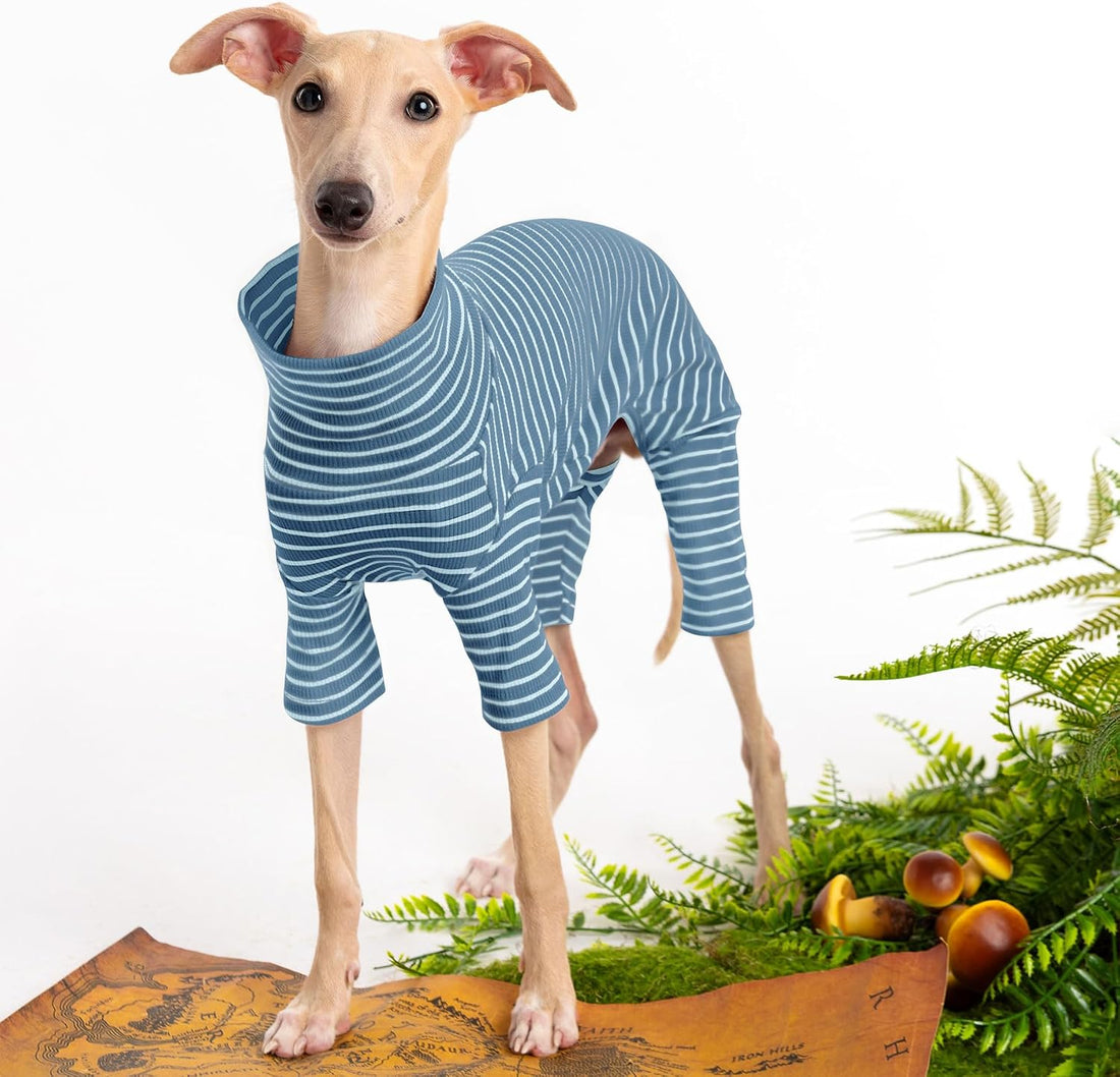 Dog Sweaters for Small Dogs Girls Boys