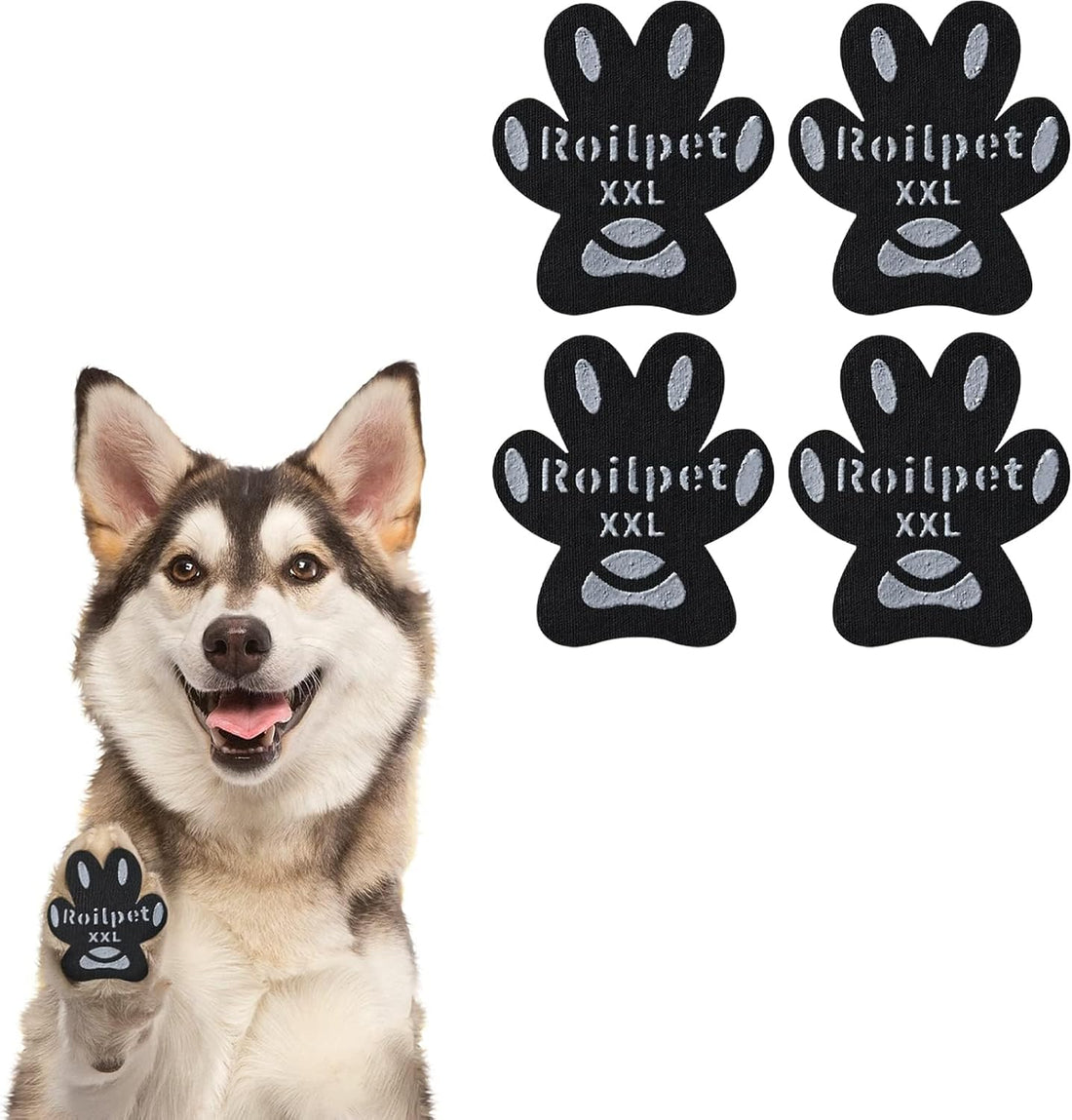 Dog Paw Pads for Senior Dogs to Prevent Slipping on Hardwood Floors