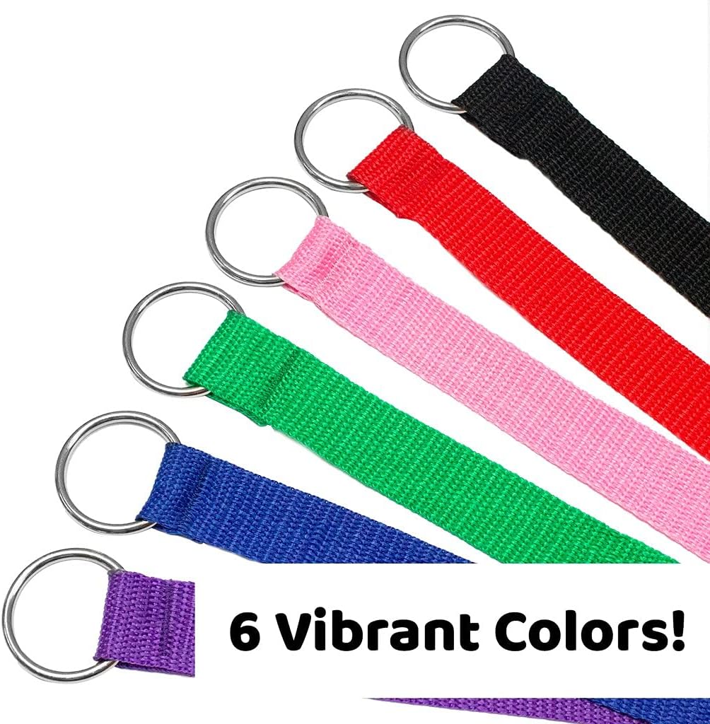 Downtown Pet Supply Slip Lead Dog Leash 6 Pack, 4' x 1/2"