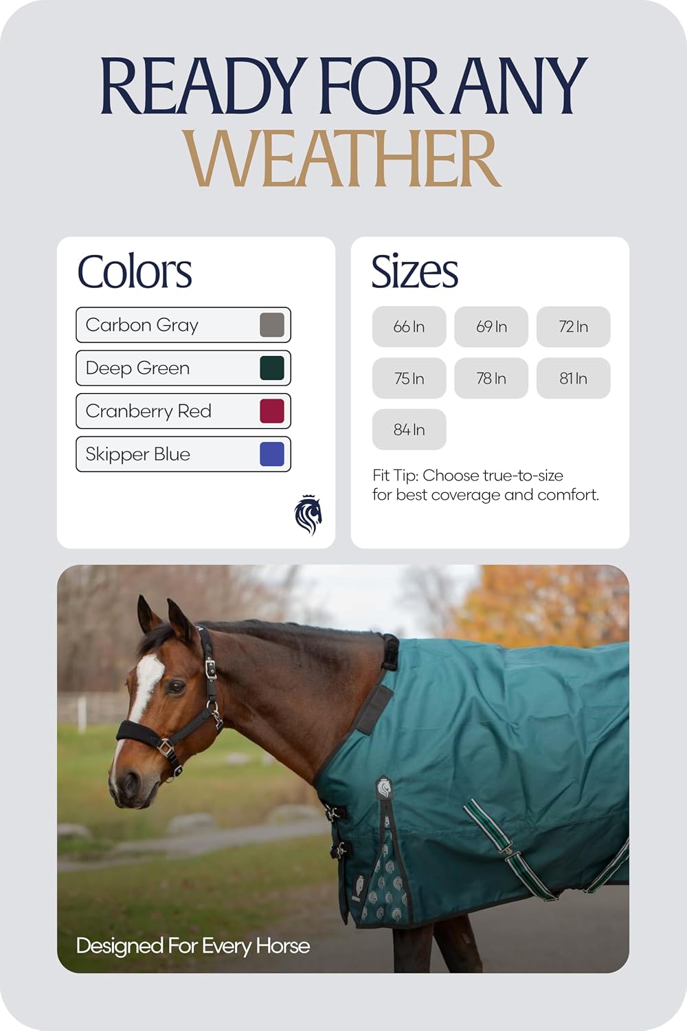 Equinavia Arktis Regular Neck Turnout Sheet - Carbon Gray - 78 in