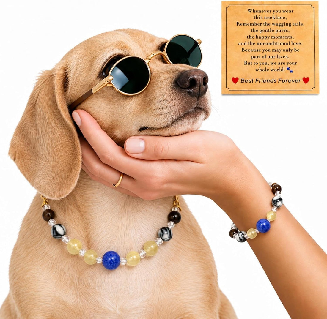 Handmade Dog Collar and Matching Owner Friendship Bracelet Set