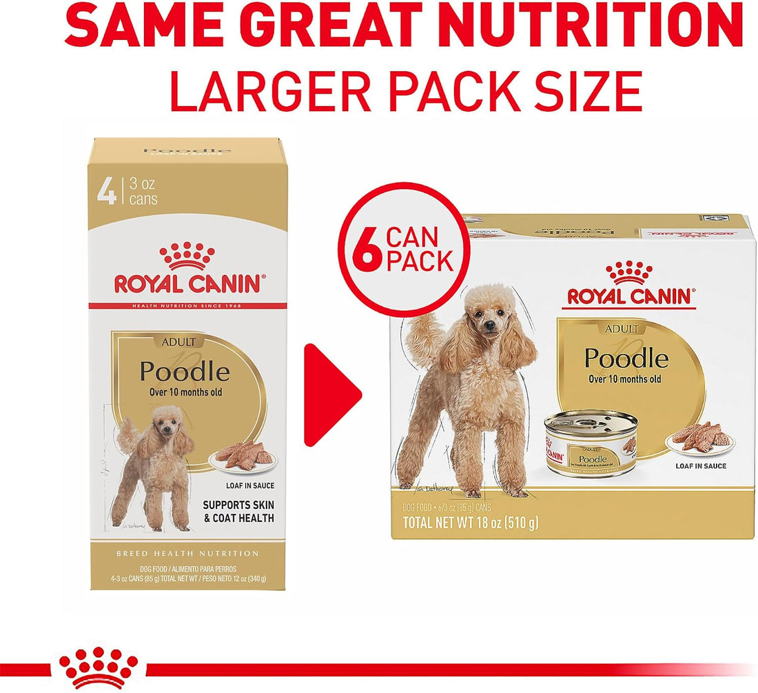 Royal Canin Poodle Adult Wet Dog Food, 3 oz, 6-Pack