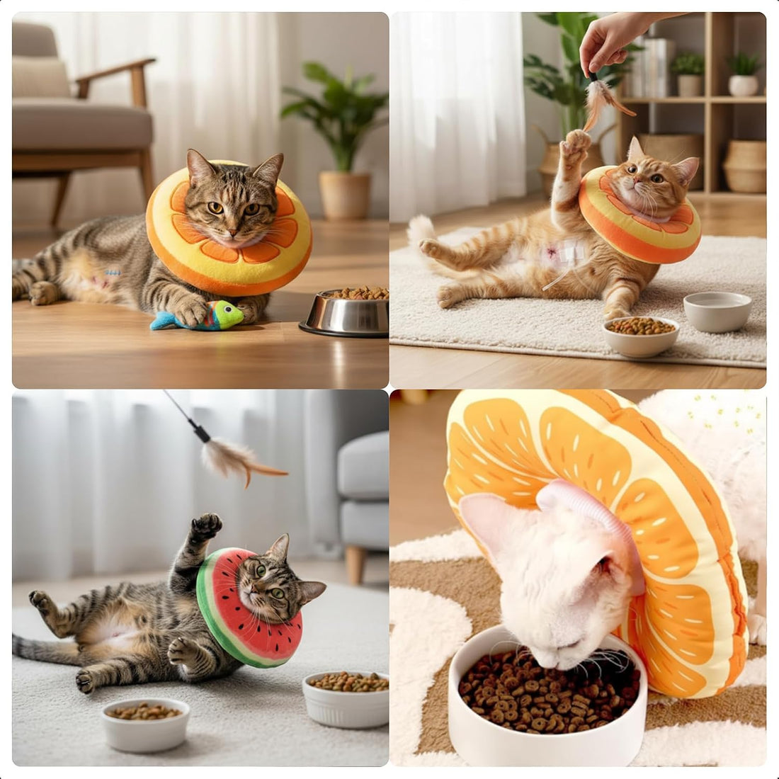 Frienda 2 Pack Adjustable Cat Cone Collar Soft Small Cat Recovery