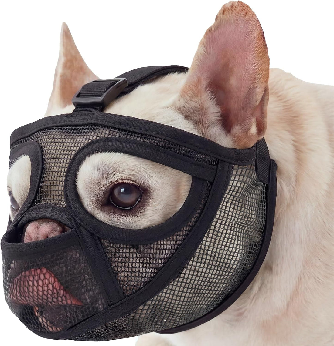 Pezluxe Short Snout Dog Muzzle