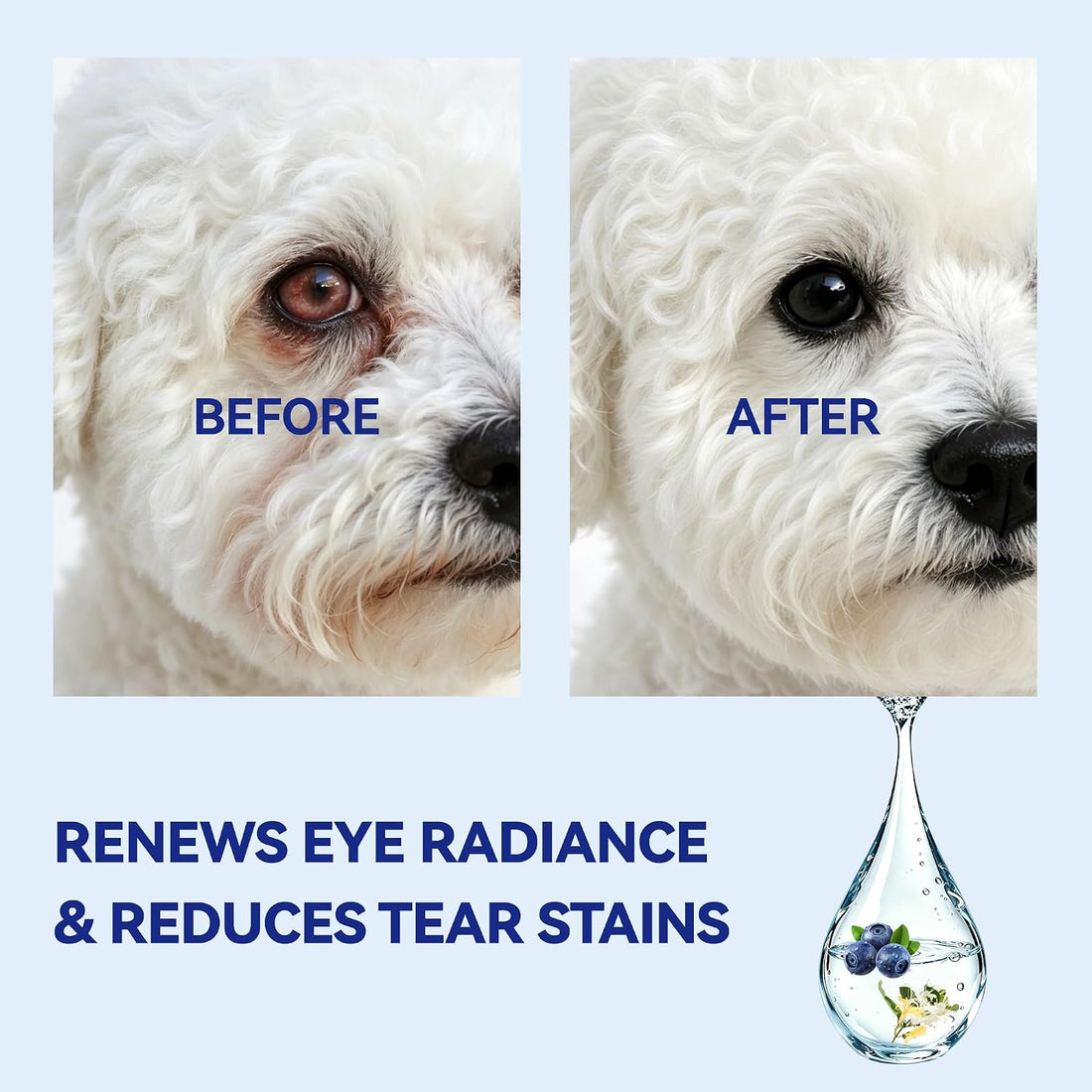 Wellix PET Dog Eye Drops, Eye Drops for Dogs&Cats