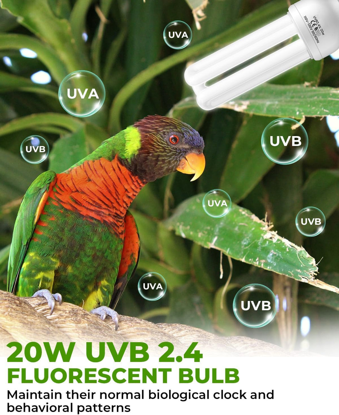 GlowUp UVB 2.4 Bird Cage Light Combo Kit, 20W UVB Bird Light Bulb