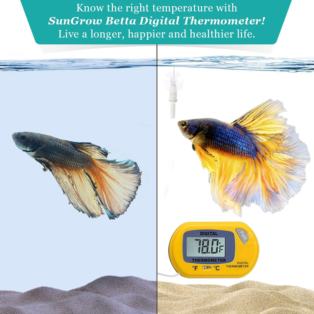 SunGrow Digital Betta Thermometer for Tropical Aquarium Fish
