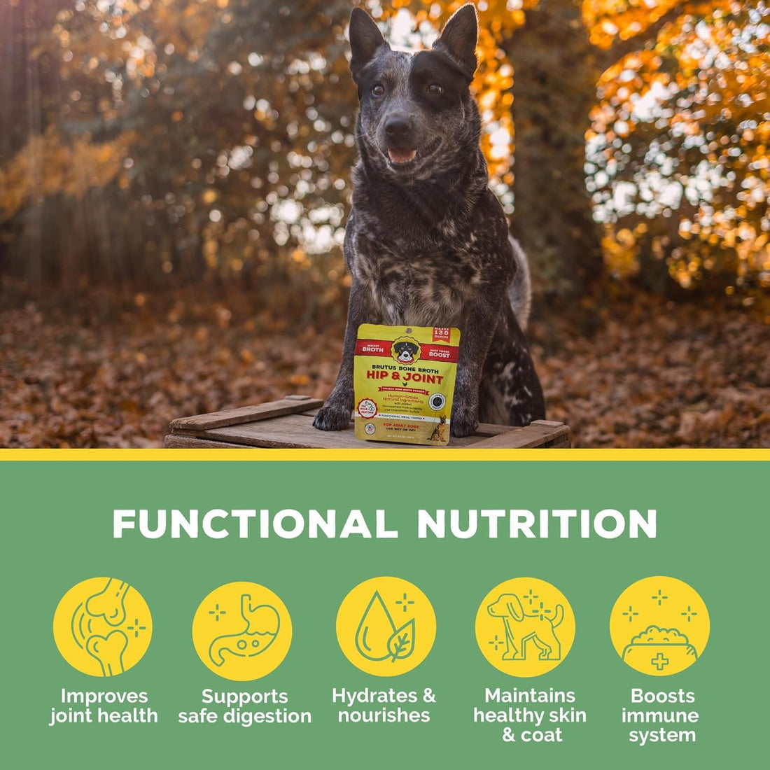 Brutus Broth Dog Food Topper - Instant Bone Broth Powder for Dogs