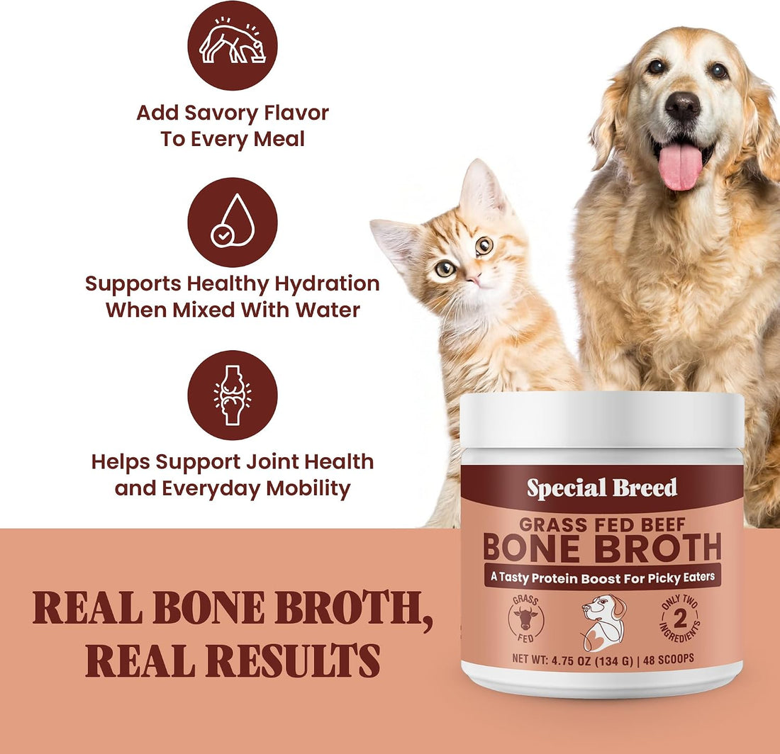 Bone Broth Powder for Dogs and Cats