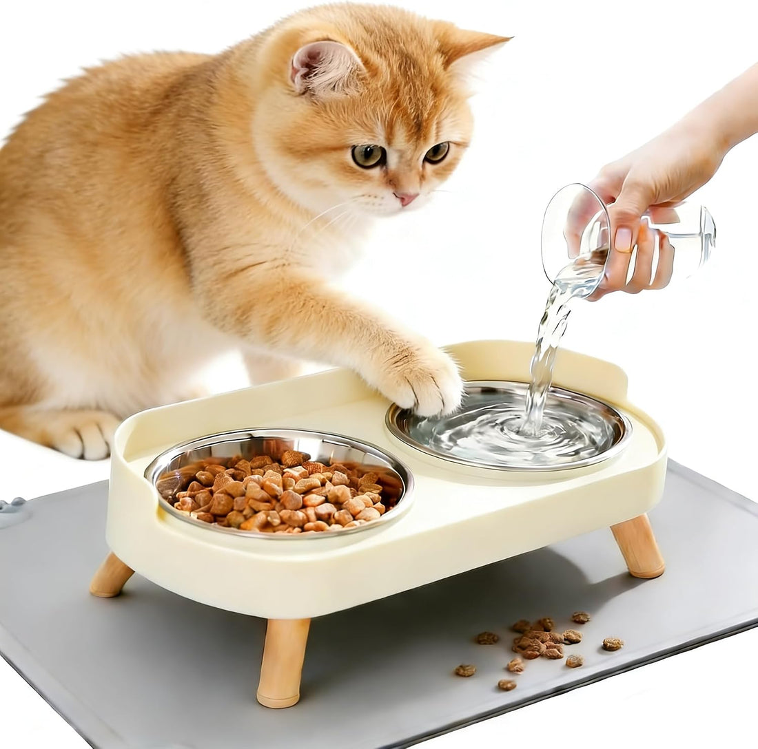 DIRZHX Elevated Cat Bowls with Food Mat