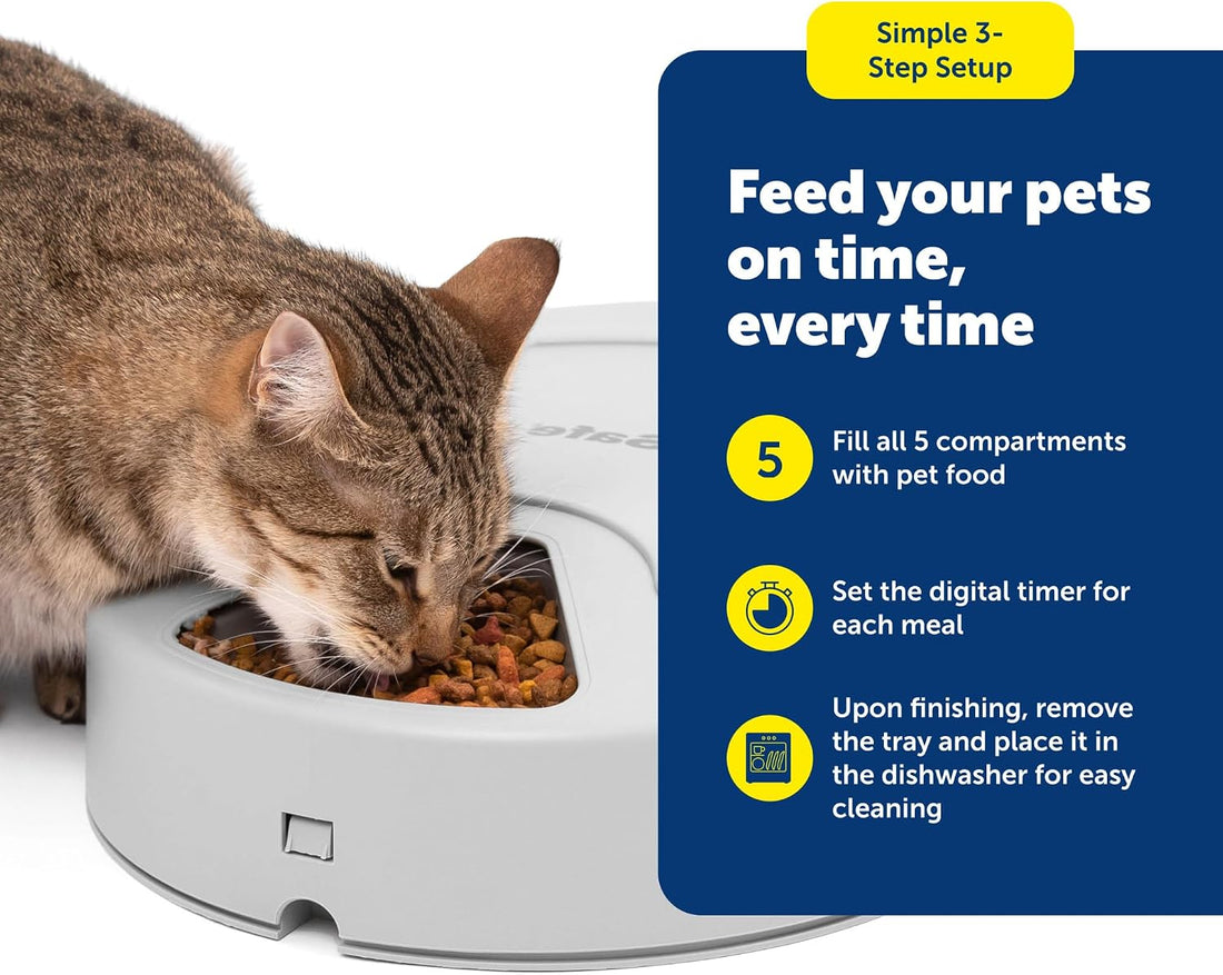 PetSafe Automatic Dog Feeder, 5 Meals, 40 oz Capacity, Plastic