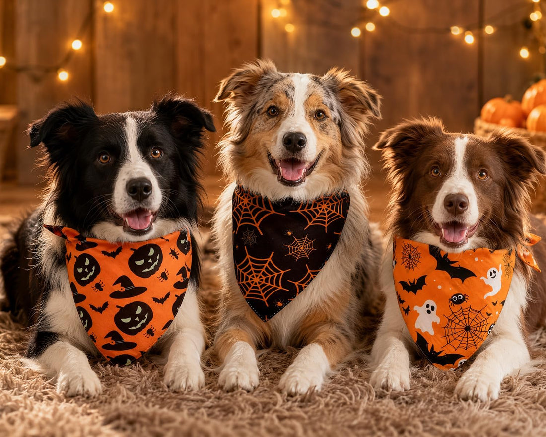 Halloween Dog Bandanas 3 Pack Large Fall Pet Scarf Orange Plaid