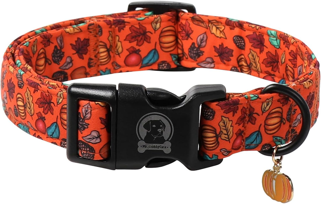 ·MR. CHUBBYFACE· Halloween Pink Pumpkin Dog Collar for Large Dogs