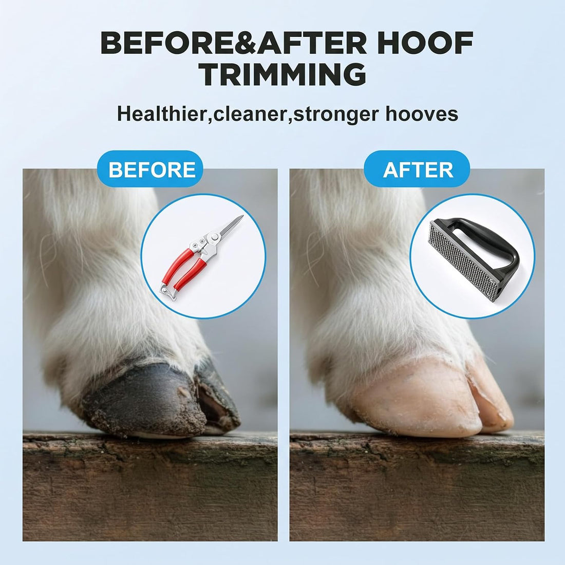 Goat Hoof Trimmers Shears Kit with Rasp, Sheep Care Tool Red Black