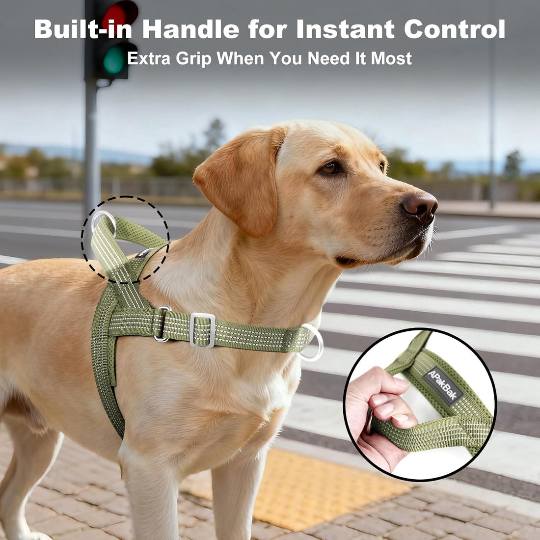 APakBak No Pull Dog Harness with Handle