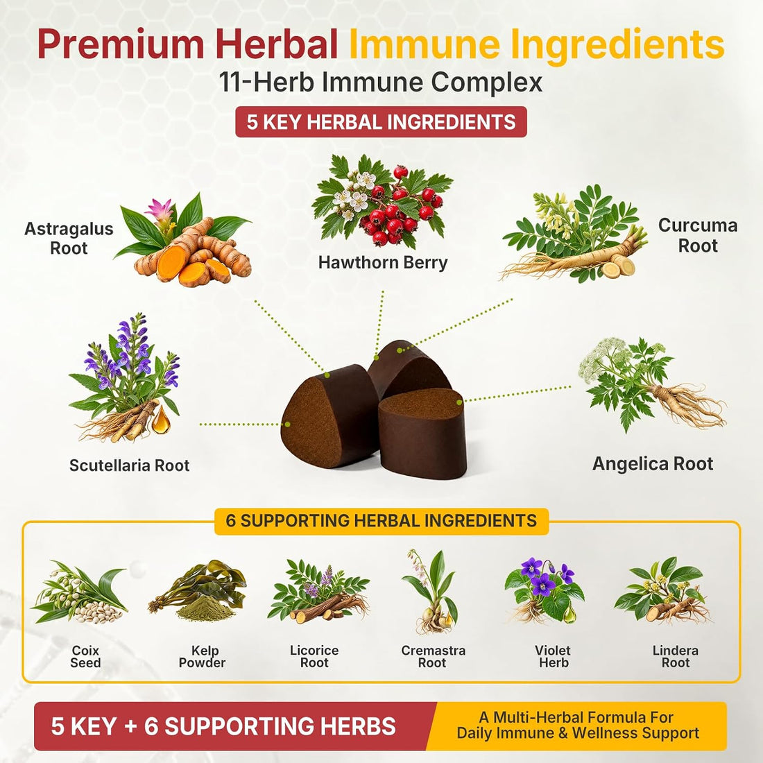 Critical Immune Defense for Dogs & Cats