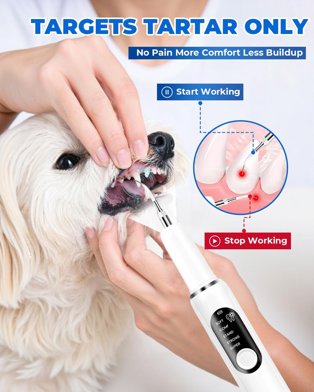 PATWING Dog Plaque Remover, Dog Tooth Brushing kit