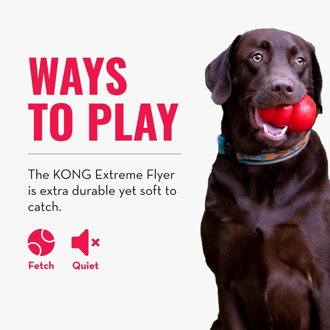 KONG Extreme Flyer, Durable Soft Rubber Flying Disc, for Large Dogs