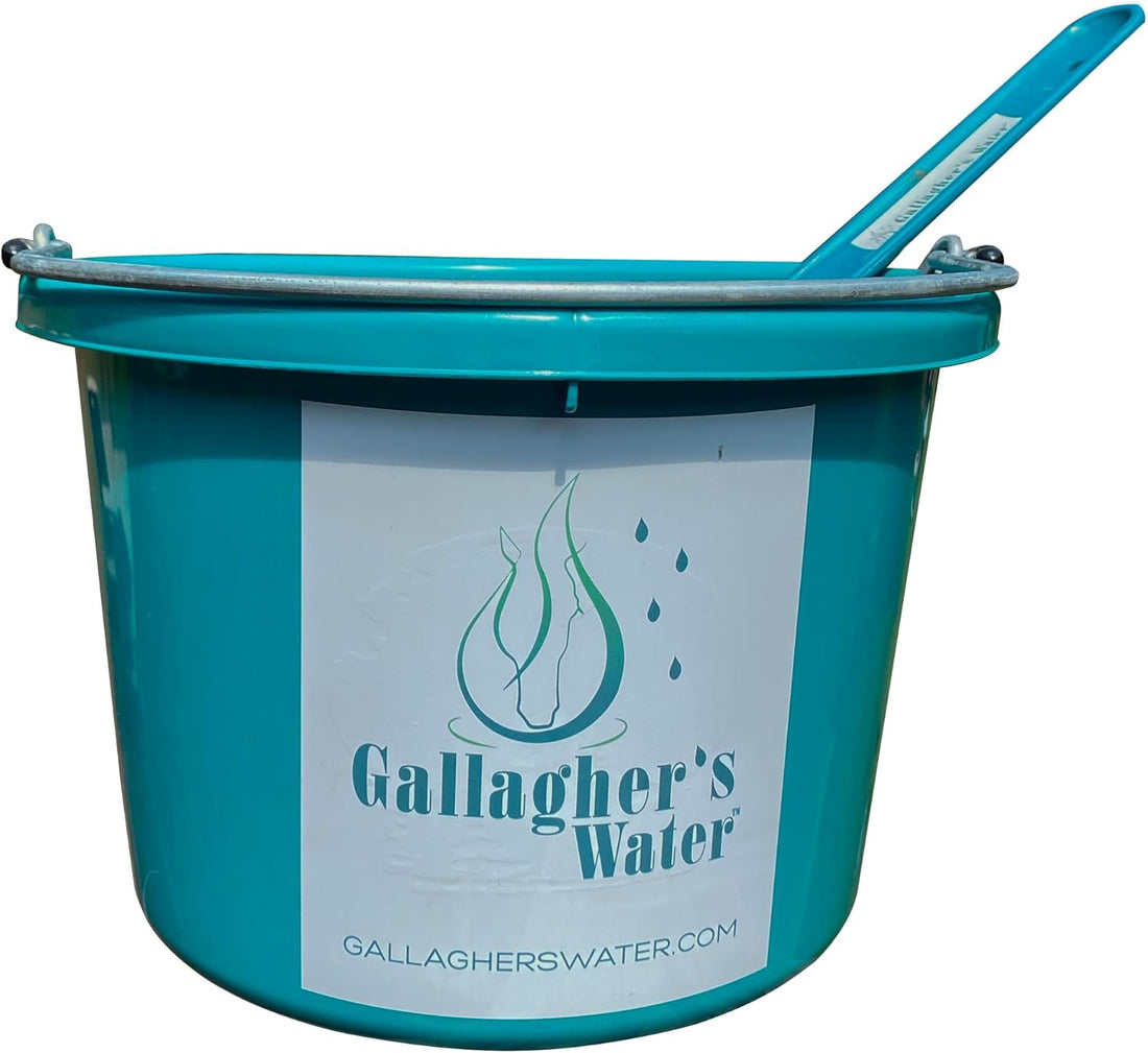 GALLAGHER'S WATER Swizzle Stick/Sweat Scraper (Bucket not Included)