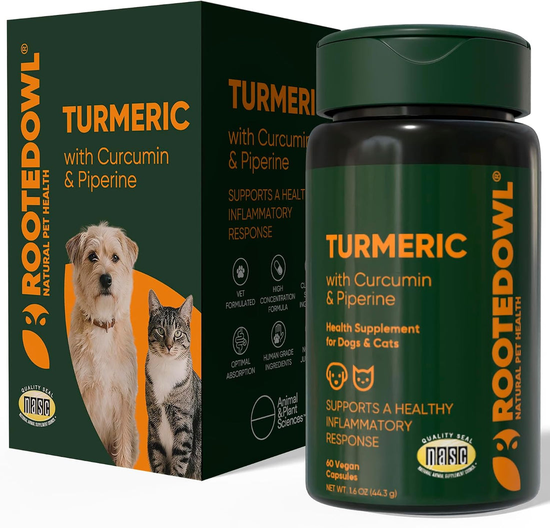 Turmeric for Dogs & Cats Supplement - Anti-Inflammatory Relief