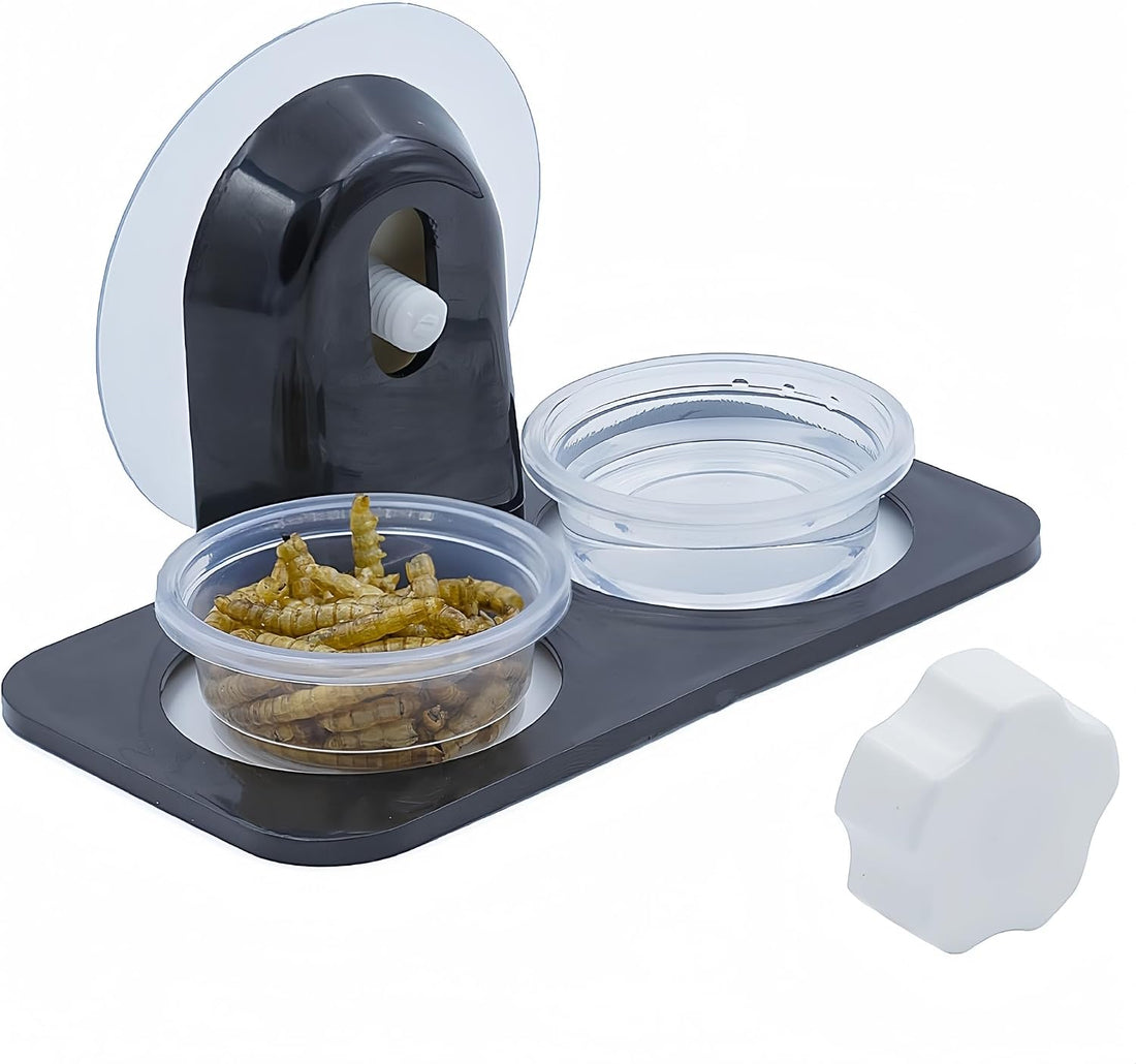 Lizard Gecko Feeding Ledge Holder, with 30 pcs 0.5oz Food Cups Dish