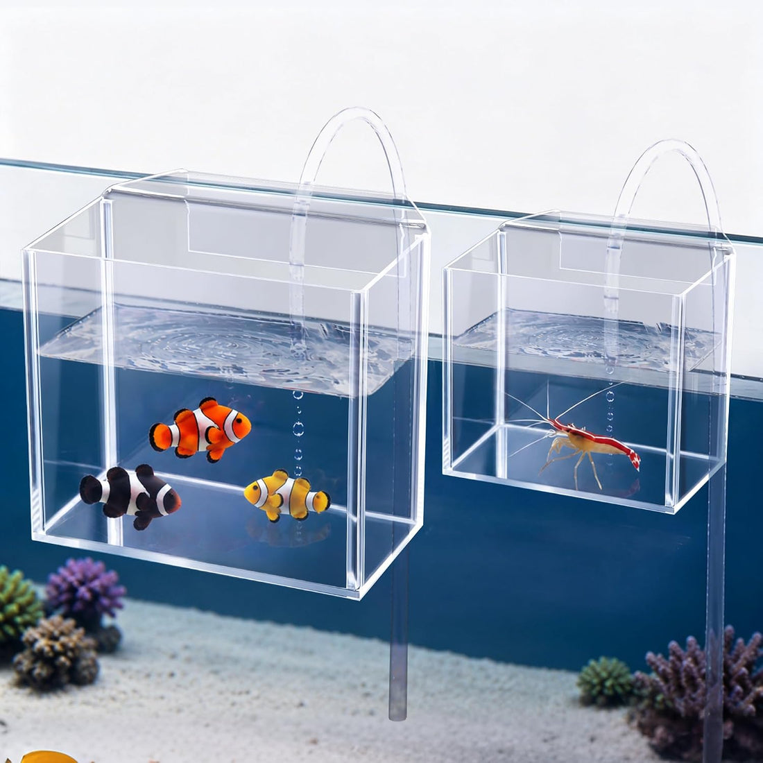 2 Pack Drip Acclimation Container for Fish, Coral & Shrimp