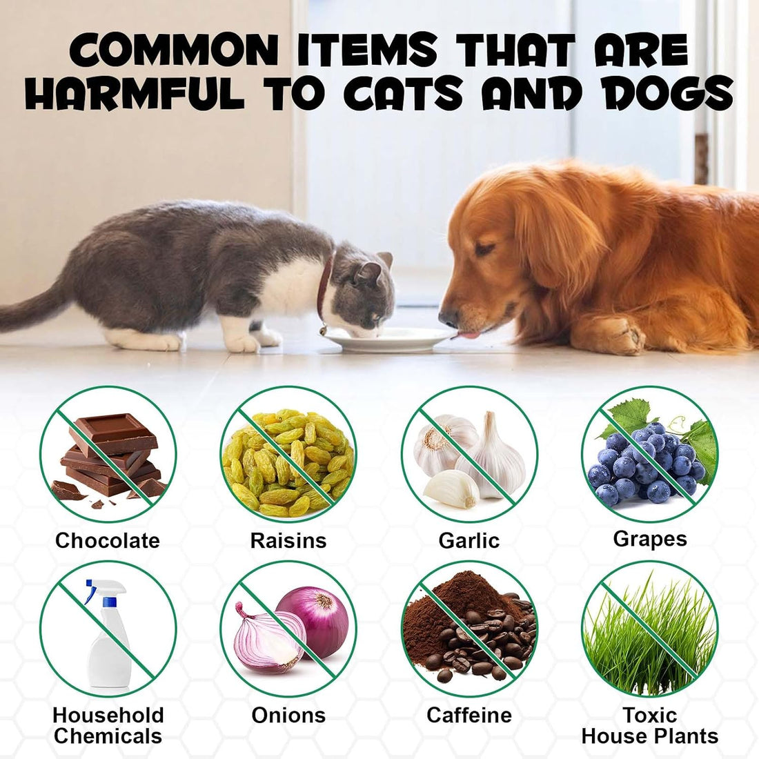 Activated Charcoal for Dogs and Cats
