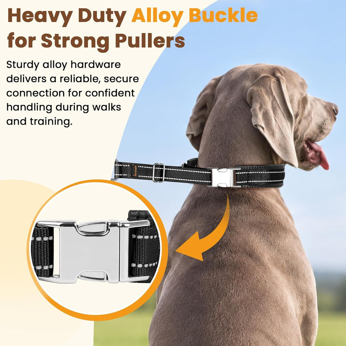 Mayerzon No Pull Collar with Alloy Buckle for Large Dogs that Pull