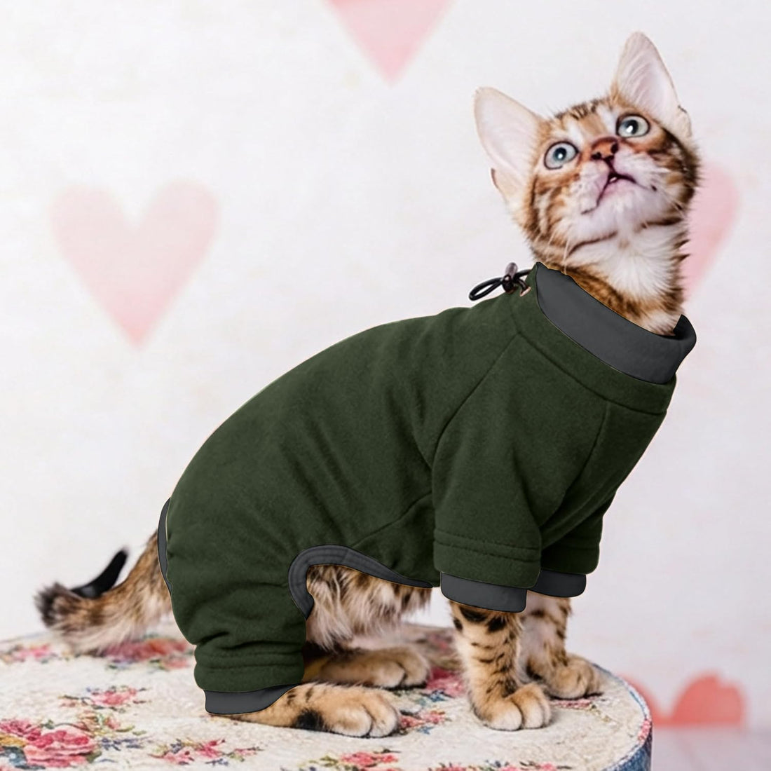 PUMYPOREITY Sticky Hair Cat Clothes, Prevent Hair Loss Cat Pajamas