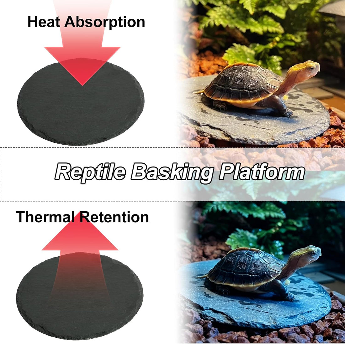 Reptile Tortoise Basking Slate Rocks Habitat Tiles Platform