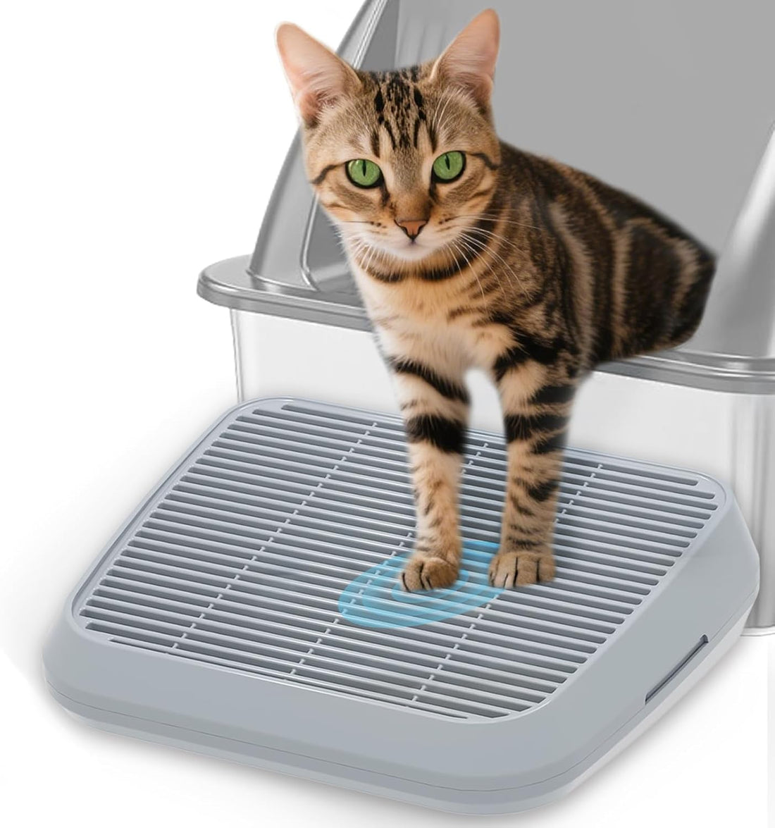 Elevated Litter Box Ramp/Steps for Kittens & Old Cats,Washable Litter