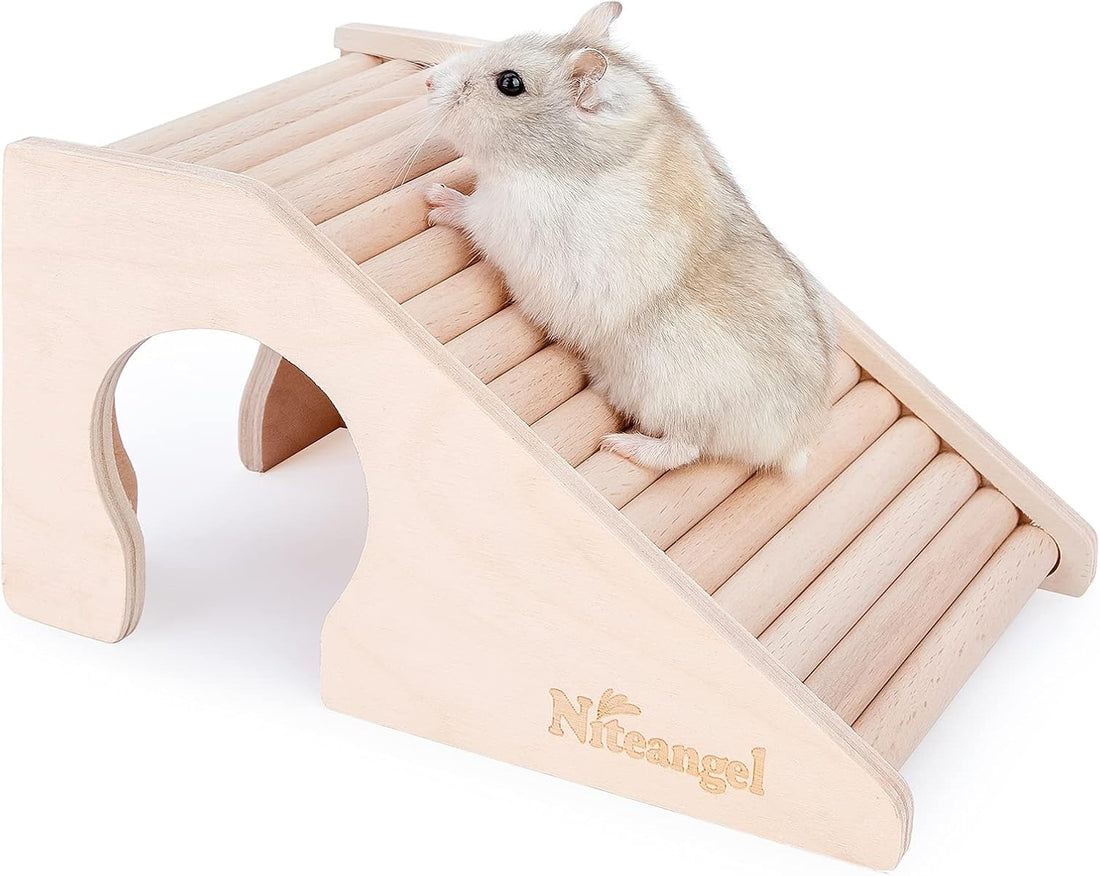 Niteangel Hamster House w/Climbing Ladder for Hamsters Gerbils Mice
