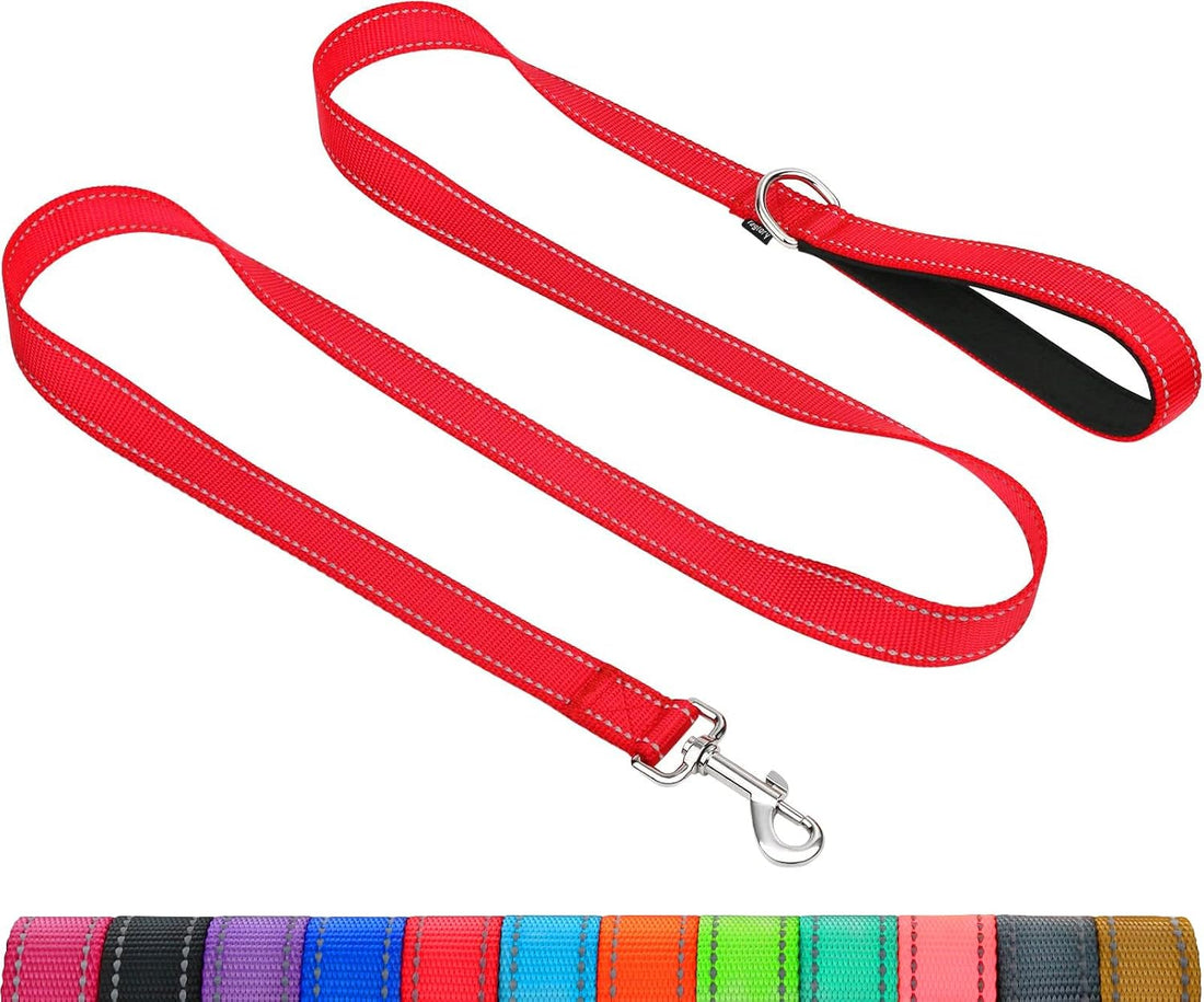 Taglory Reflective Dog Leash for Small Dogs, 3/4in x 4ft