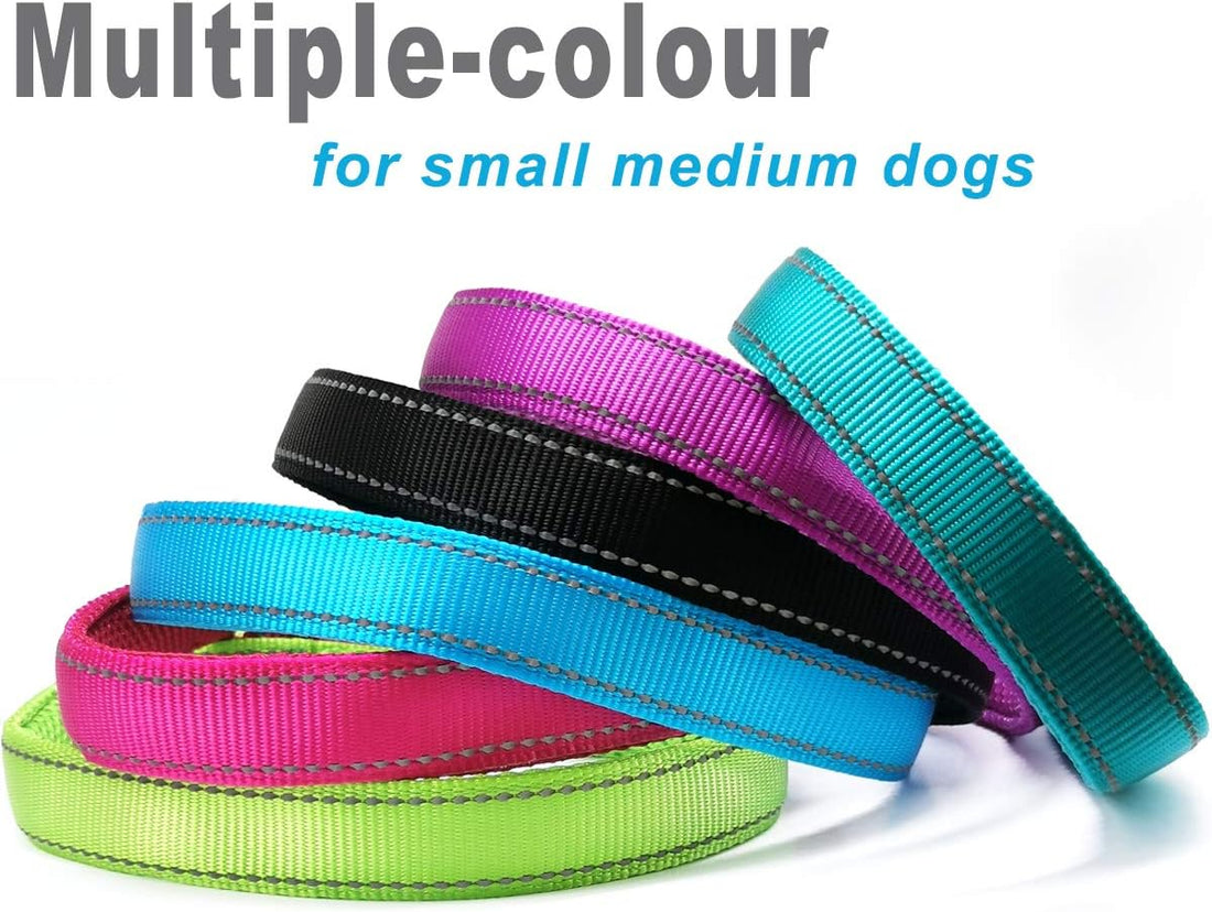 Reflective Slip Dog Collar Lightweight Loop Dog Collar 44-75lb Dogs
