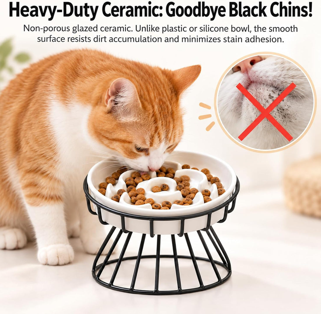 Raised Slow Feeder Cat Bowl - Ceramic Cat Slow Feeders with Stand