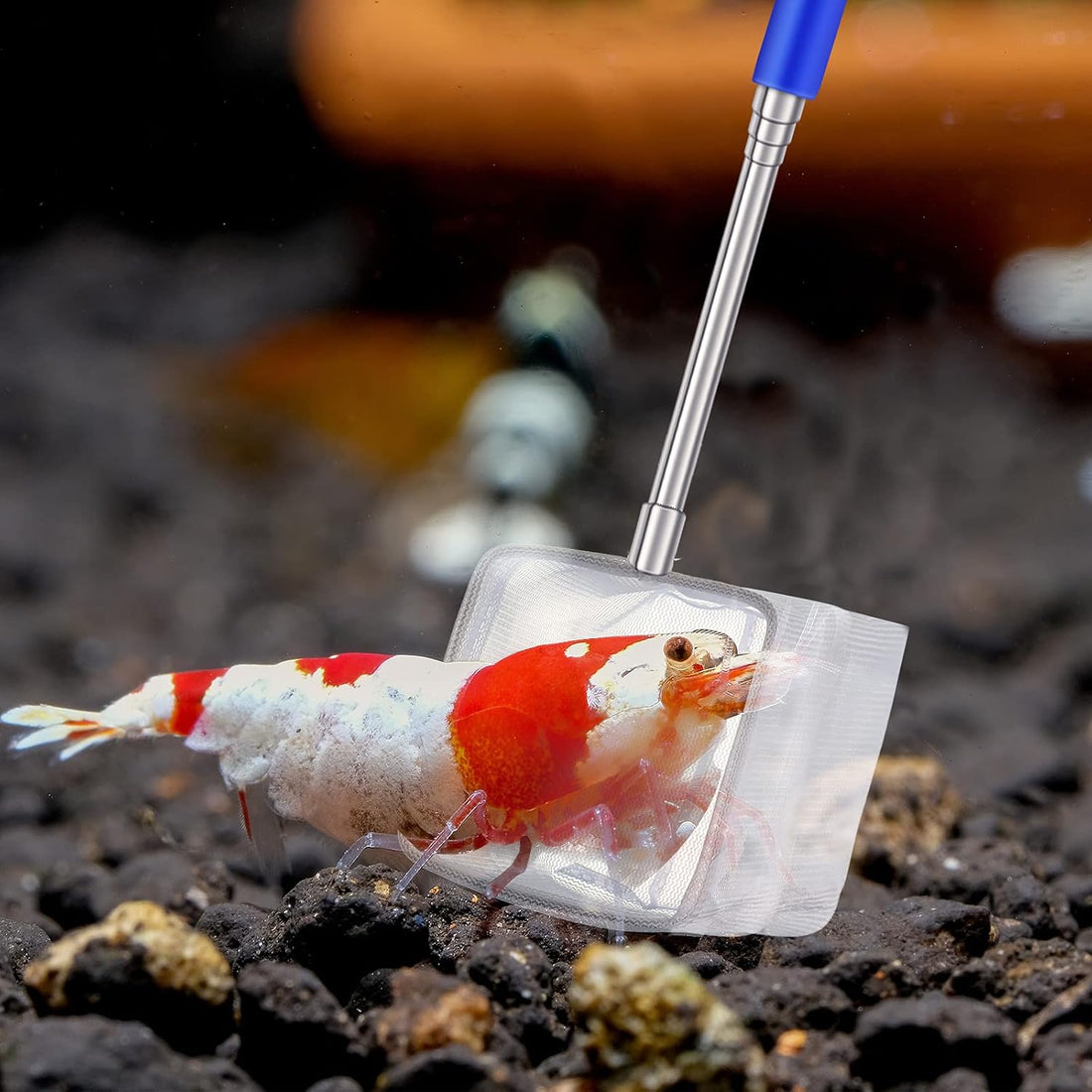 4 Pieces Fish Tank Shrimp Net Extendable Handle Shrimp Net
