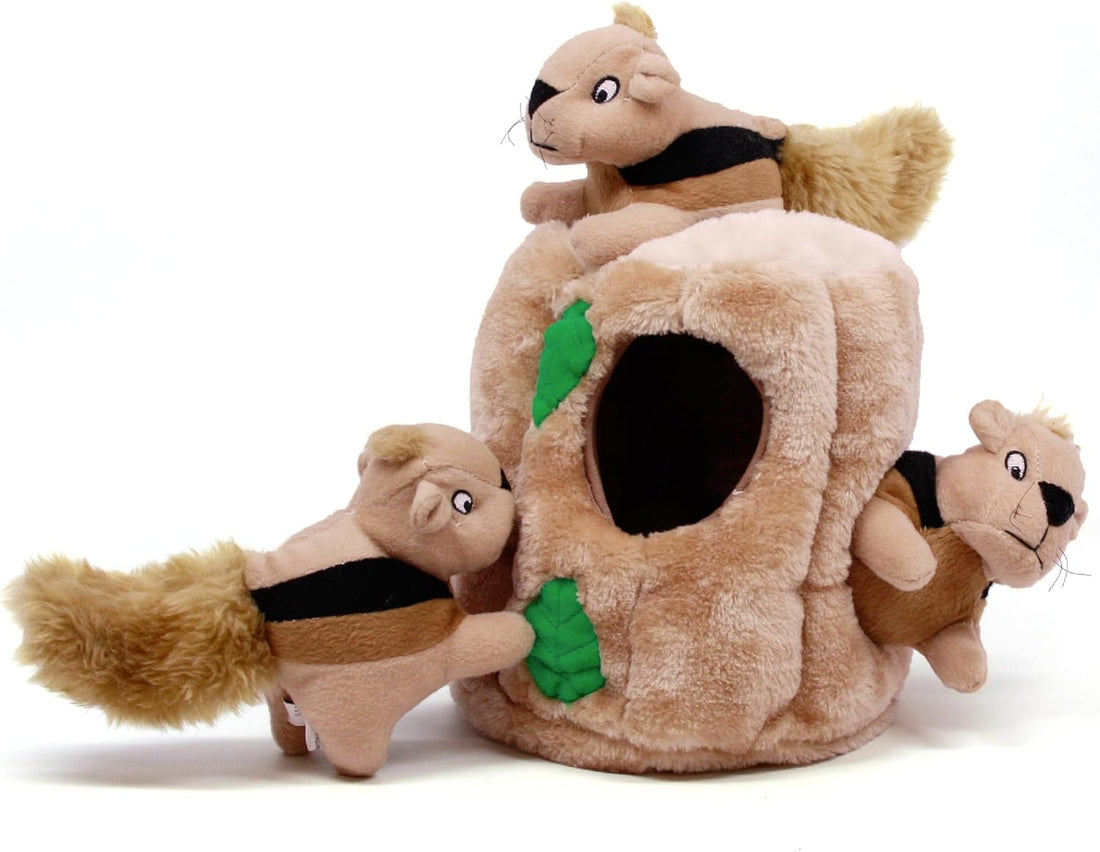 Outward Hound Hide-A-Squirrel Plush Squeaky Dog Toy, Large