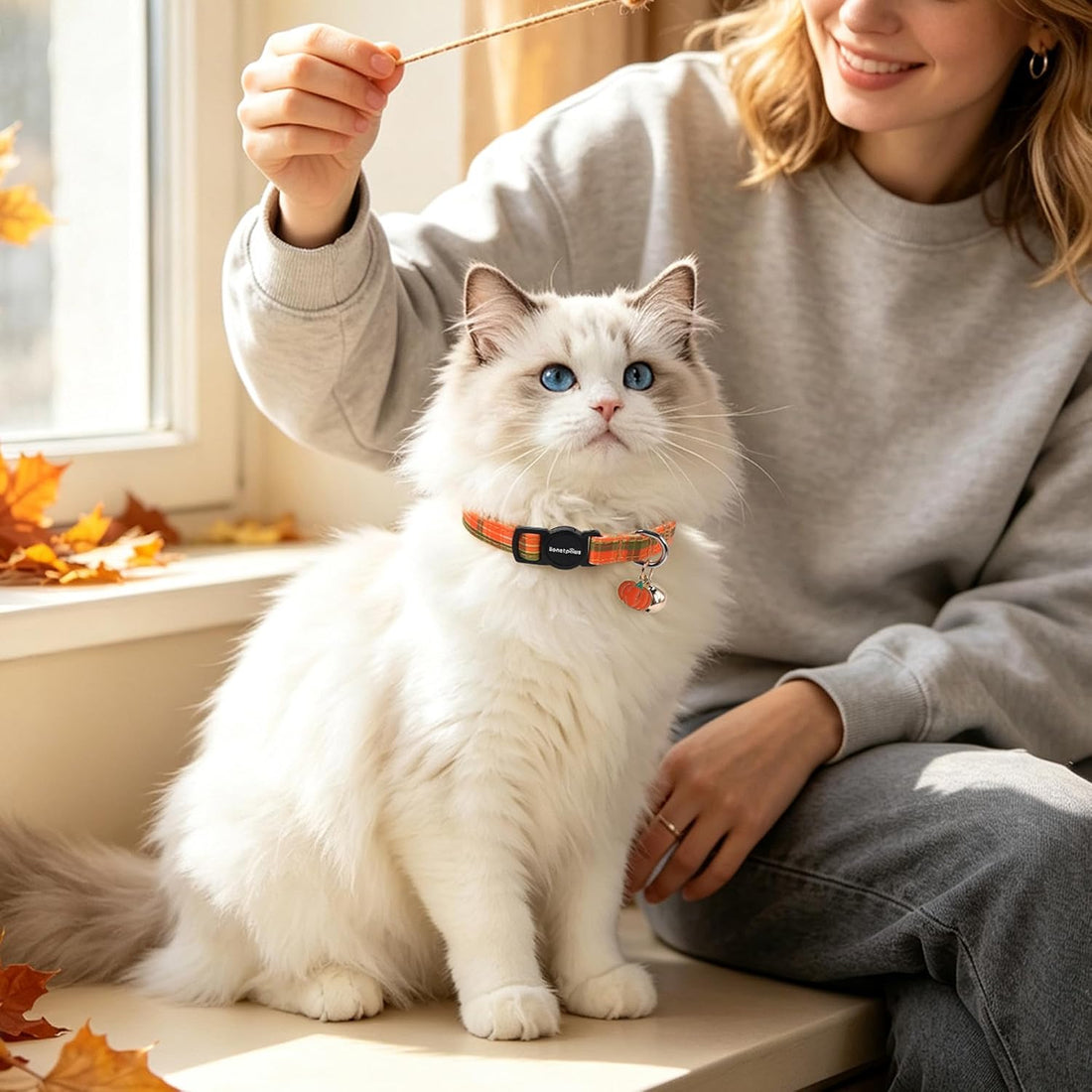 LIONET PAWS 2 Pack Breakaway Cat Collars
