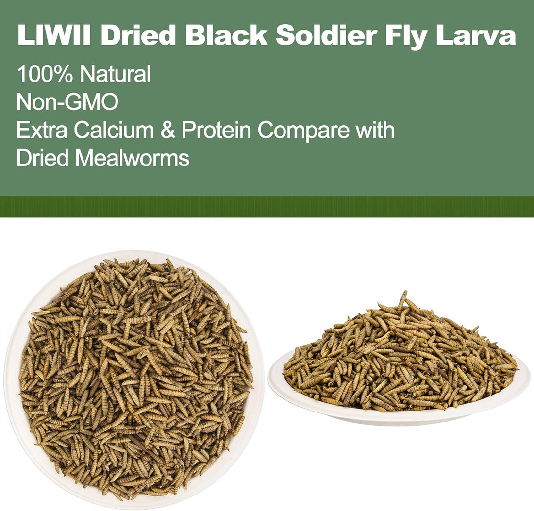 5LB Dried Black Soldier Fly Larvae for Chickens, Reptiles & Birds
