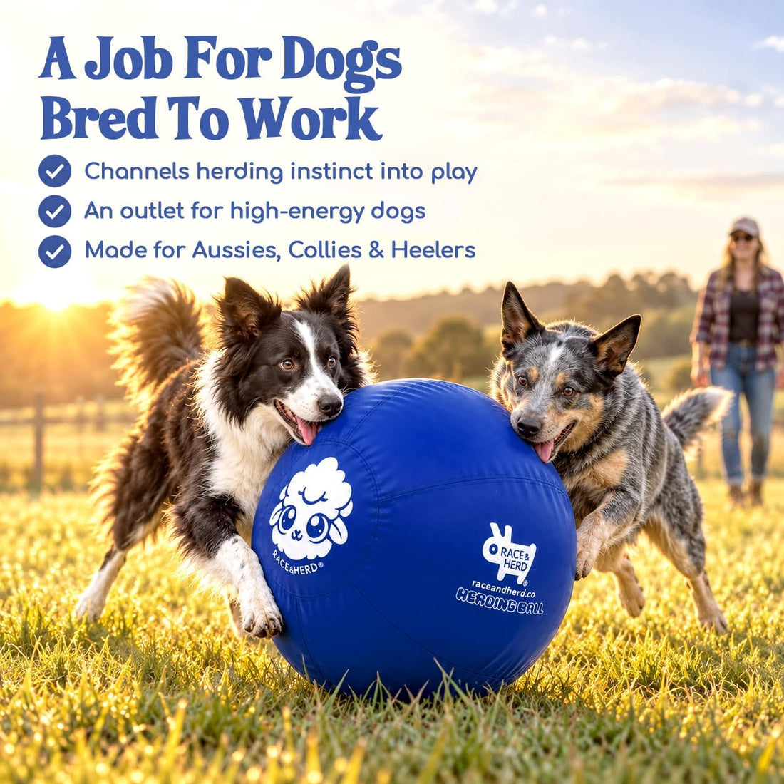 Race&Herd 25" Original Herding Ball — Cover, Inner Ball & Pump (Ocean)