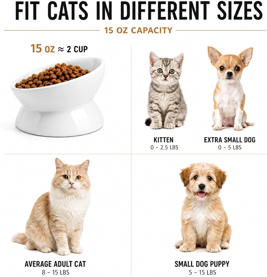 Nucookery Ceramic Raised Cat Food & Water Bowl Tilted Elevated, 5''