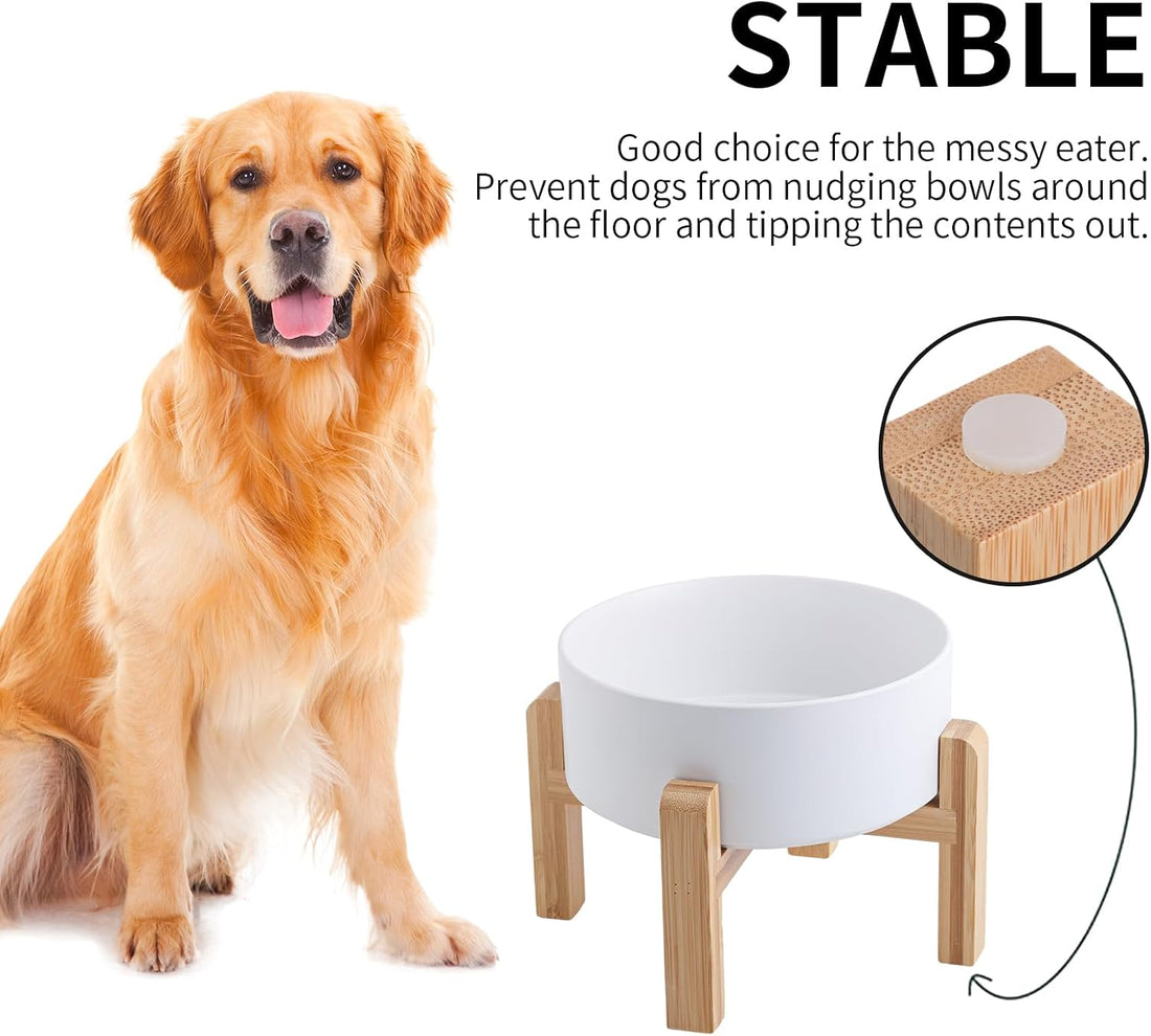 White Raised/Elevated Ceramic Dog Bowl for Medium Large Sized