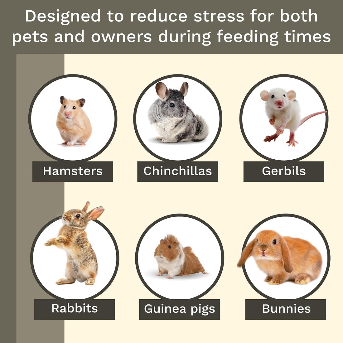 Hay Feeder for Rabbit, Guinea Pig, Bunny, Chinchilla